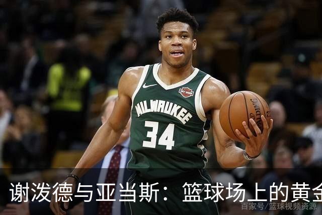 谢泼德与亚当斯：篮球场上的黄金搭档？